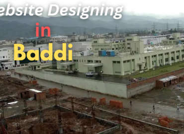 Website Designing in Baddi