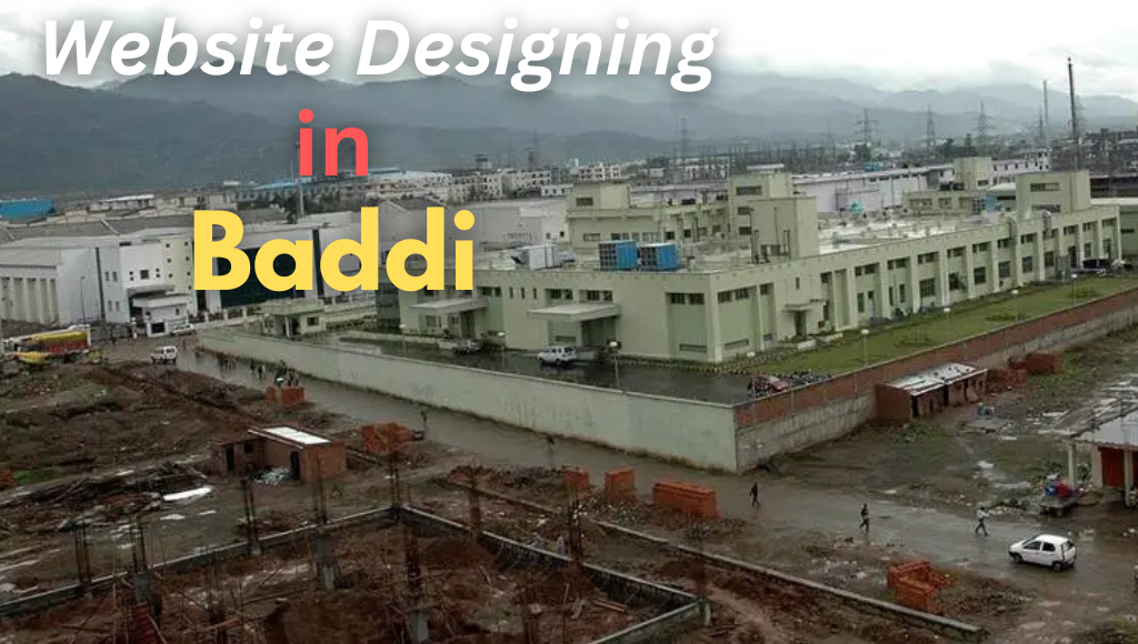 Website Designing in Baddi